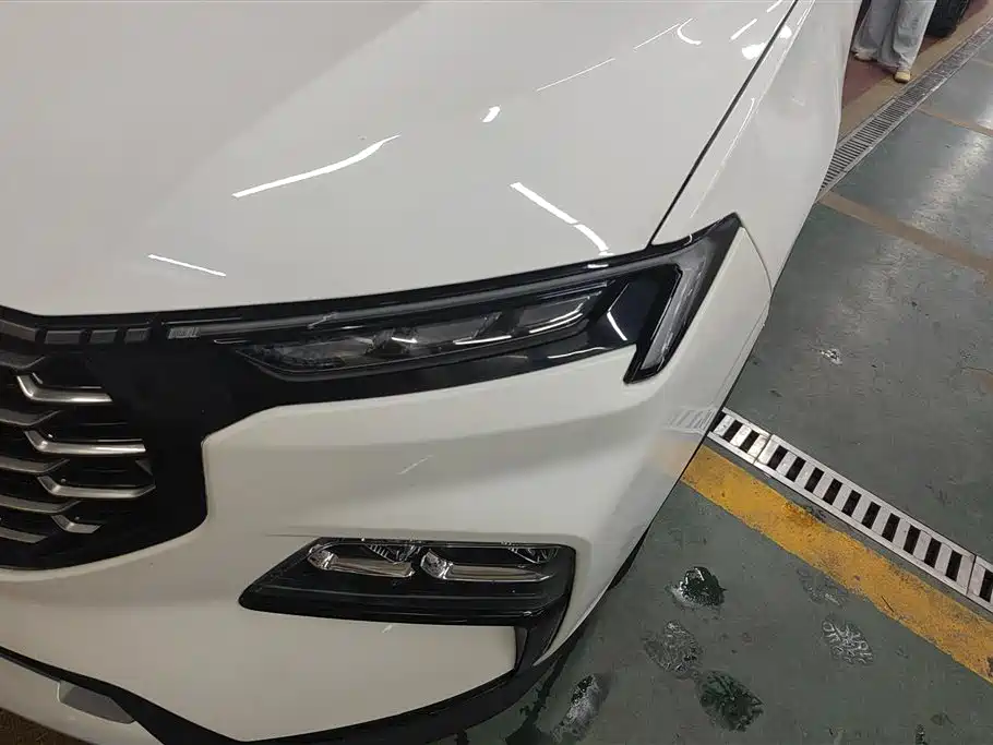 FORD LING RUI