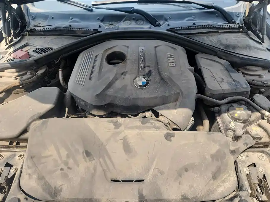 BMW 3 Series GT 2019 320i Fashion Model фото 10