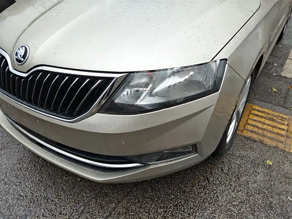 Škoda Rapid 2019 1.5L Automatic Comfort China V фото 23