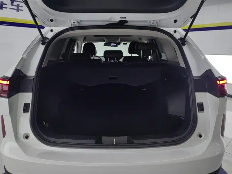 Haval H6 2022 3rd Gen 1.5T Auto 2WD Max фото 4