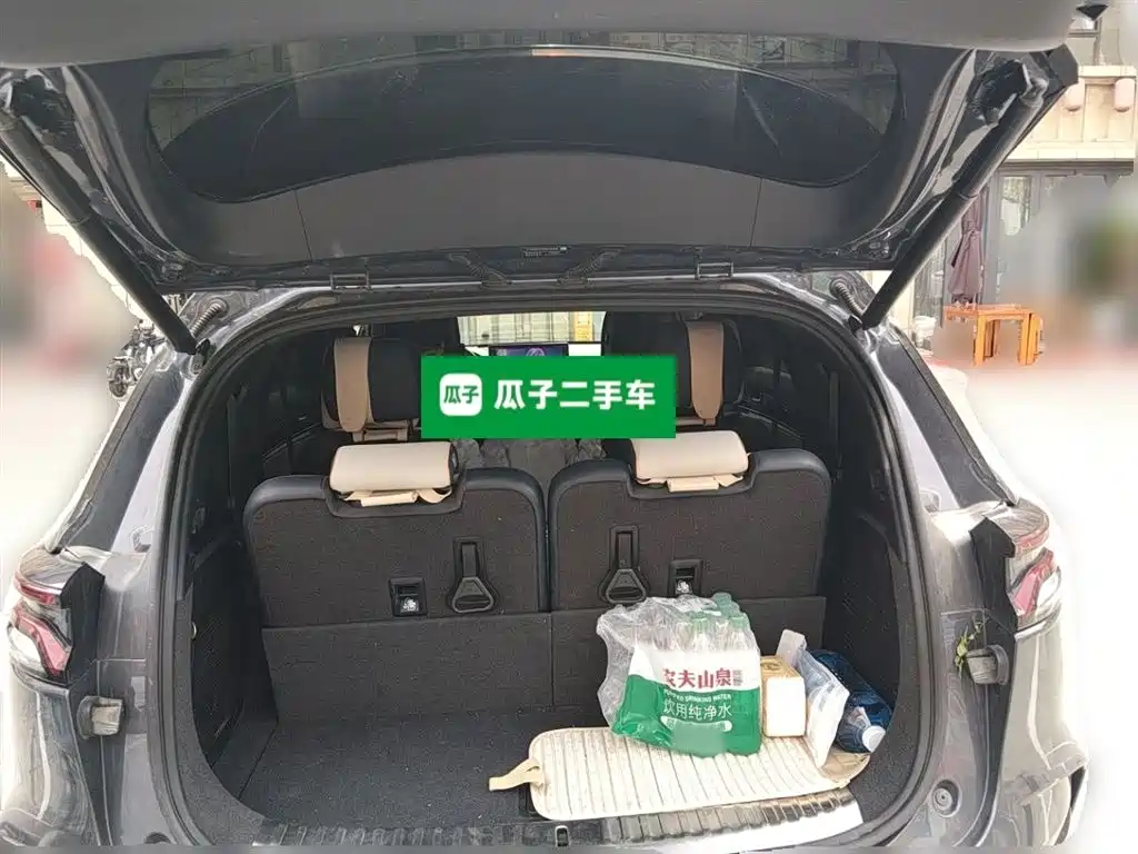 BYD Tang New Energy 2022 DM-p 215KM AWD Flagship фото 16