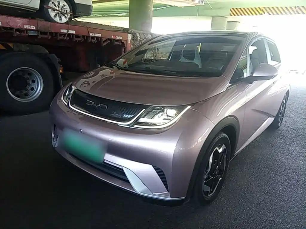 BYD Dolphin 2021