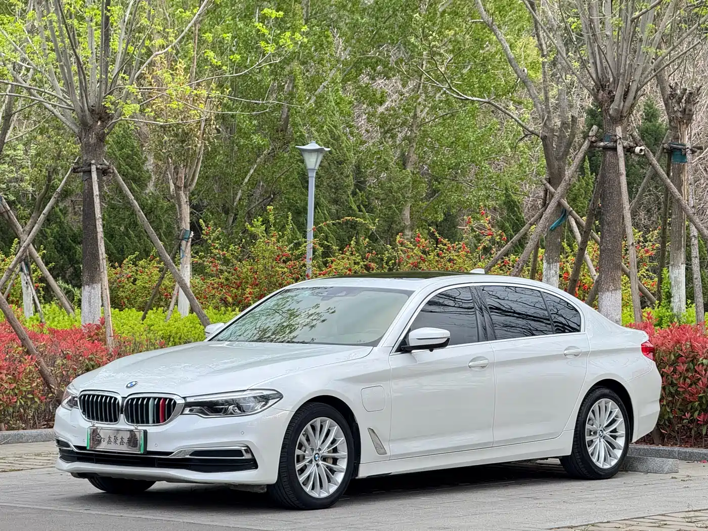 BMW 5 Series New Energy 2020 530Le Range Upgrade Luxury Package