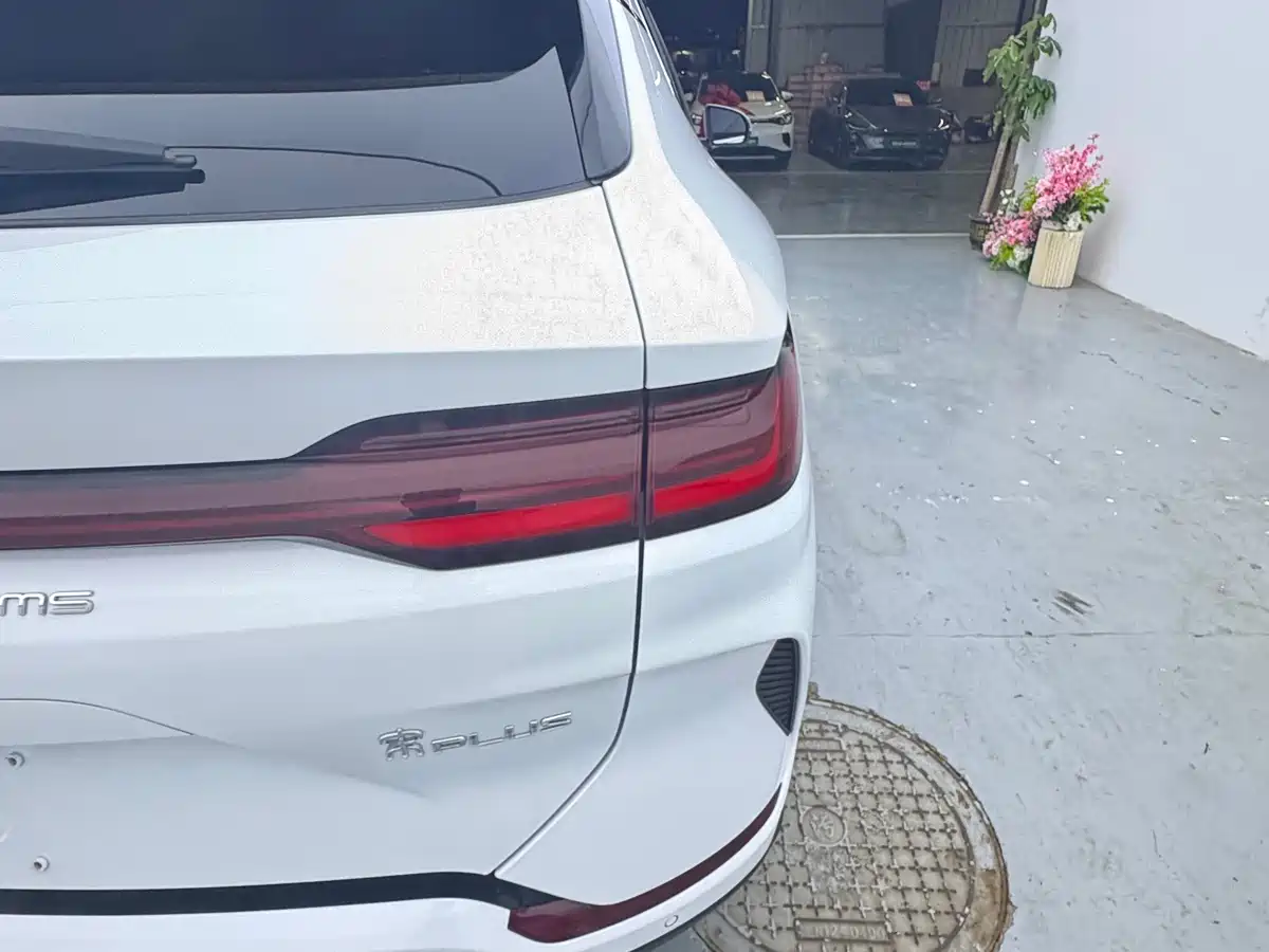 BYD Song PLUS PHEV 2024 Glory Edition DM-i 110km Flagship фото 23