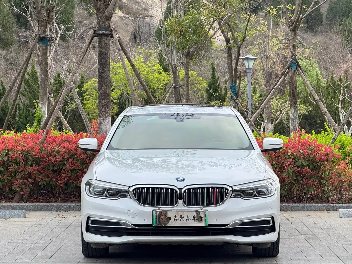 BMW 5 Series New Energy 2020 530Le Range Upgrade Luxury Package фото 2