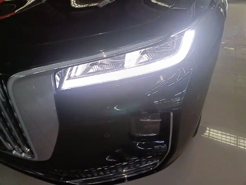 Hongqi H9 2020 2.0T Smart Connection Qi Xiang Edition фото 24