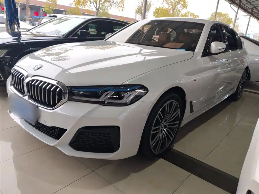 BMW 5 Series 2019 530Li Leading M Sport Package