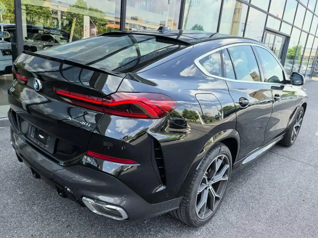 2025 BMW X6