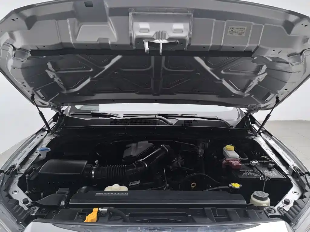 Dongfeng Rich 6 2020 2020 2.4L Manual 4WD Gasoline Standard China VI 2TZD