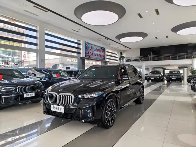 BMW X5 xDrive 40Li, M Чёрный спорт-пакет