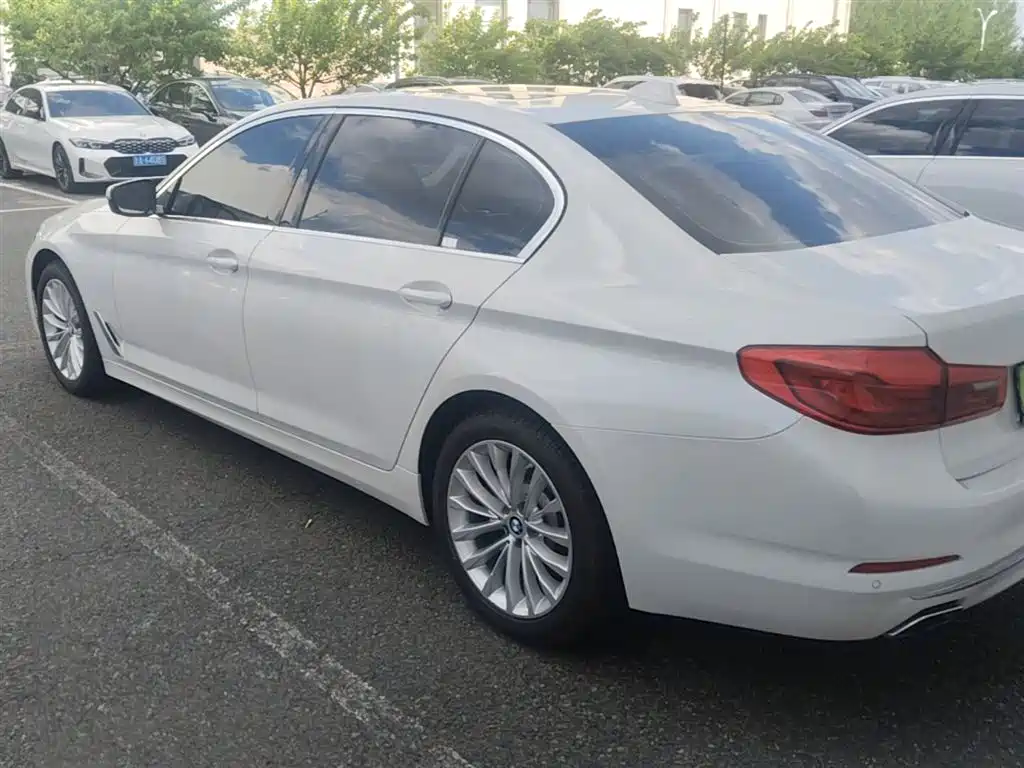 BMW 5 Series 2020 530Li xDrive Luxury Package фото 9