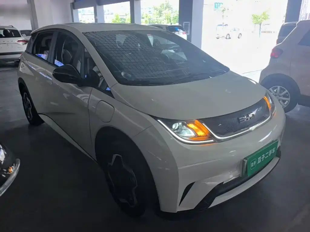 Photo 4 - BYD Dolphin
