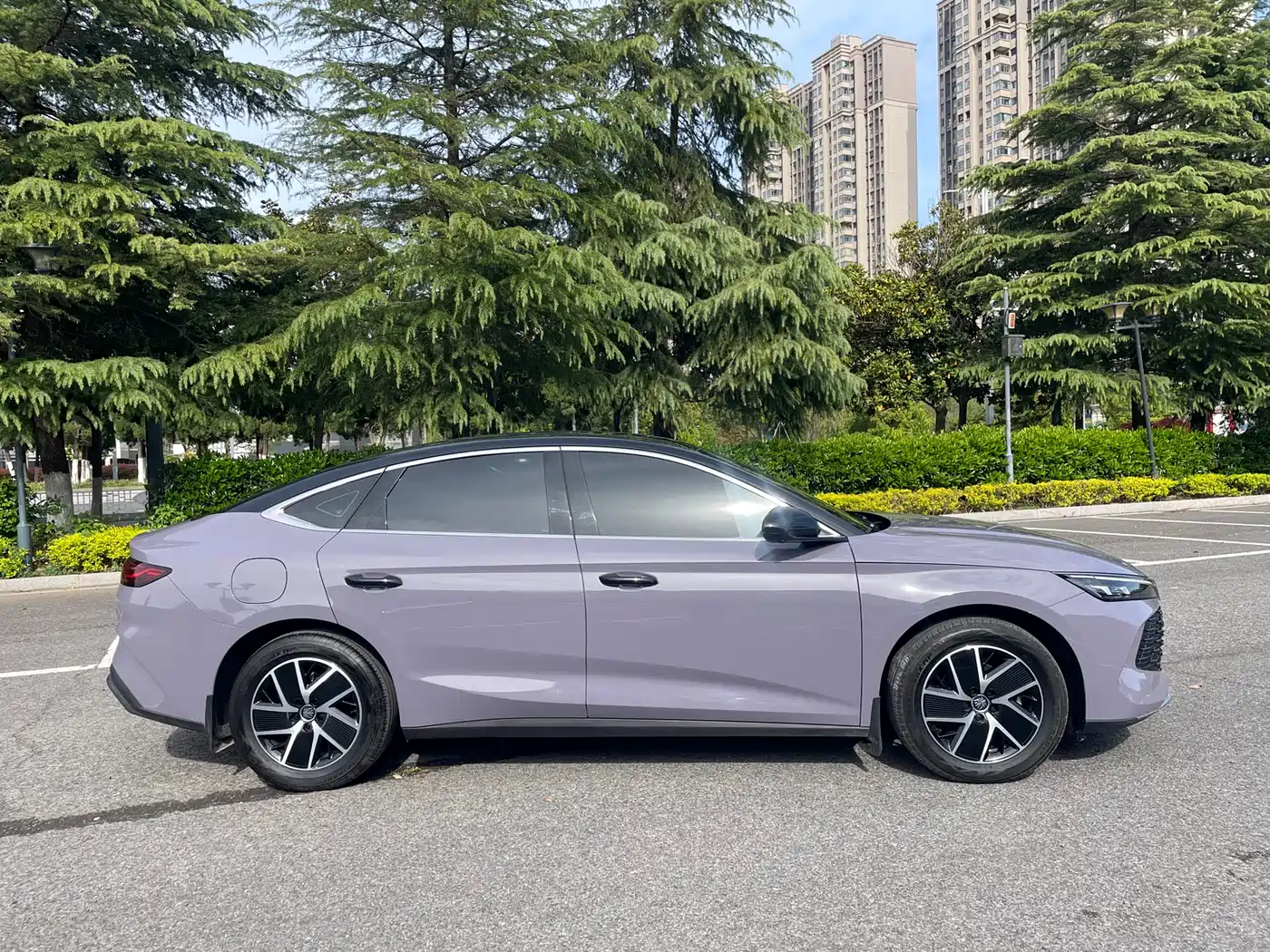 BYD Qin L 2024 DM-i 120KM Superior Edition фото 5