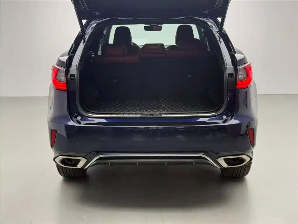 Lexus RX 2016 300 AWD F SPORT Edition China V фото 16
