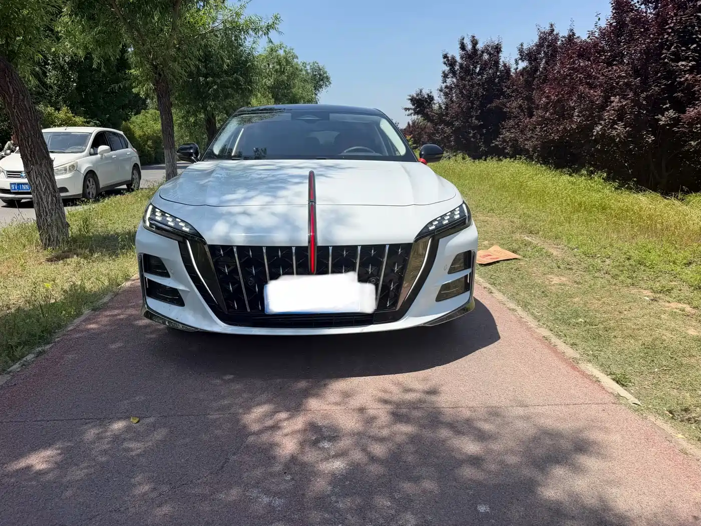 Hongqi H6 2024 Model 2.0T Fashion Edition фото 2