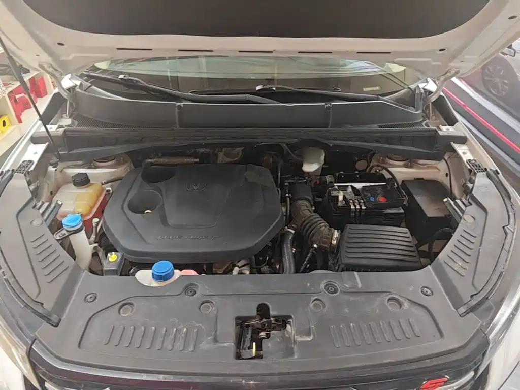 Changan CS55 PLUS 2020 2021 Blue Whale Edition 1.5T DCT Premium
