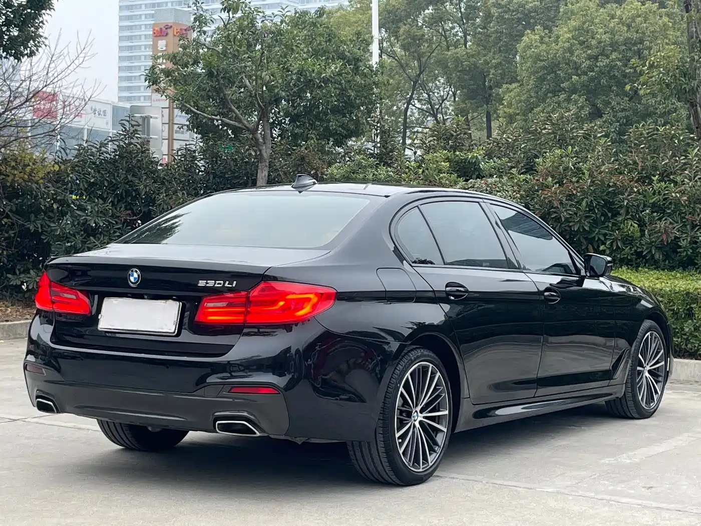 BMW 5 Series 2020 530Li Leading M Sport Package фото 5