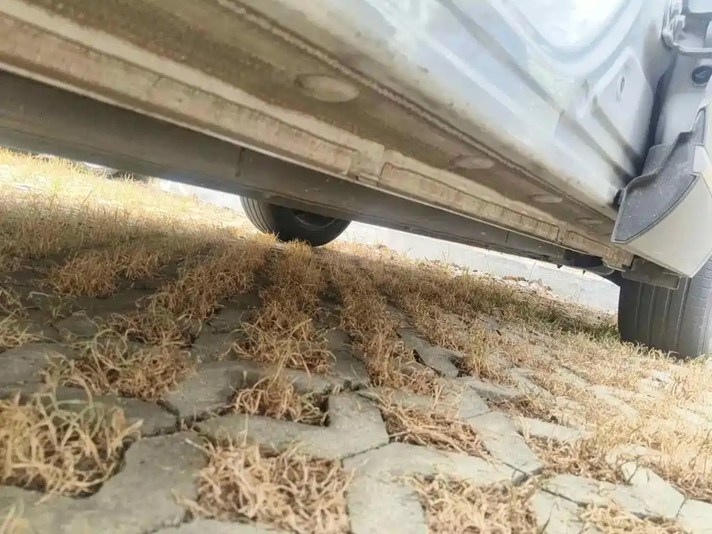 BYD Yuan PLUS 2025 2025 Smart Drive 510KM Surpass Edition