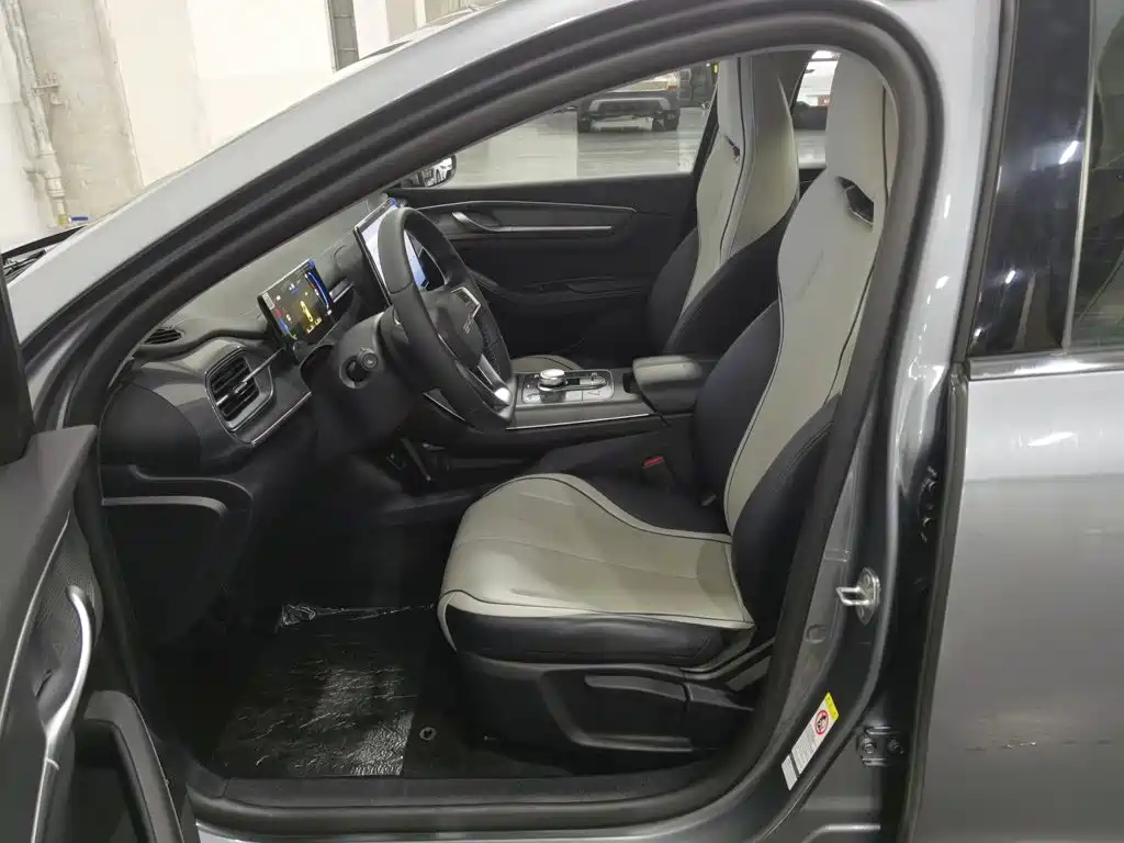 BYD Destroyer 05 2025 2024 Glory Edition DM-i 55KM Luxury