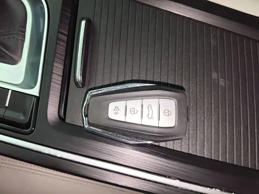 Фото 9 - Geely Binrui