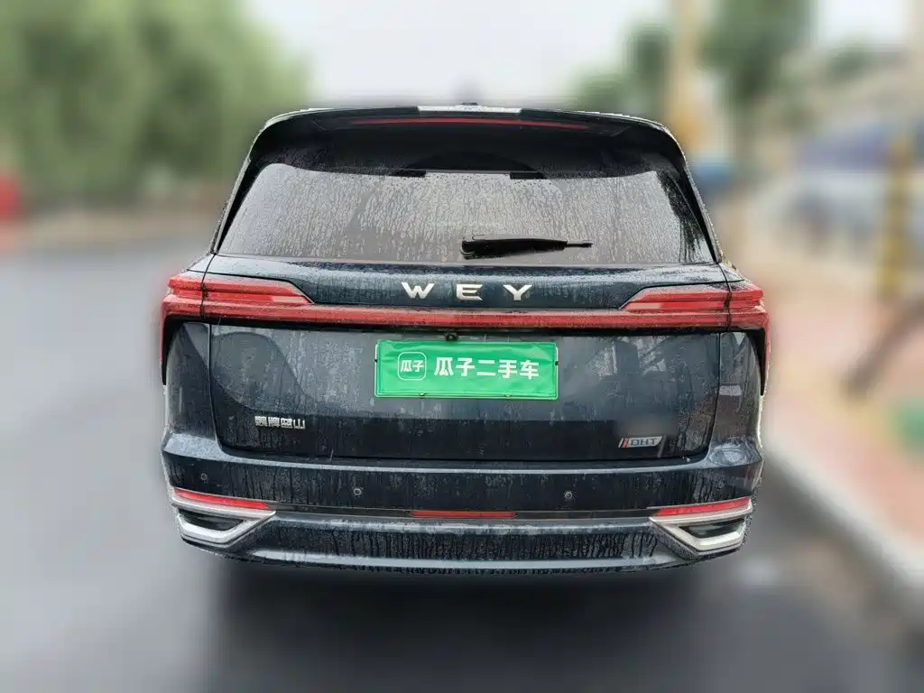 WEY Lanshan 2024 2023 AWD Ultra Long Range Edition