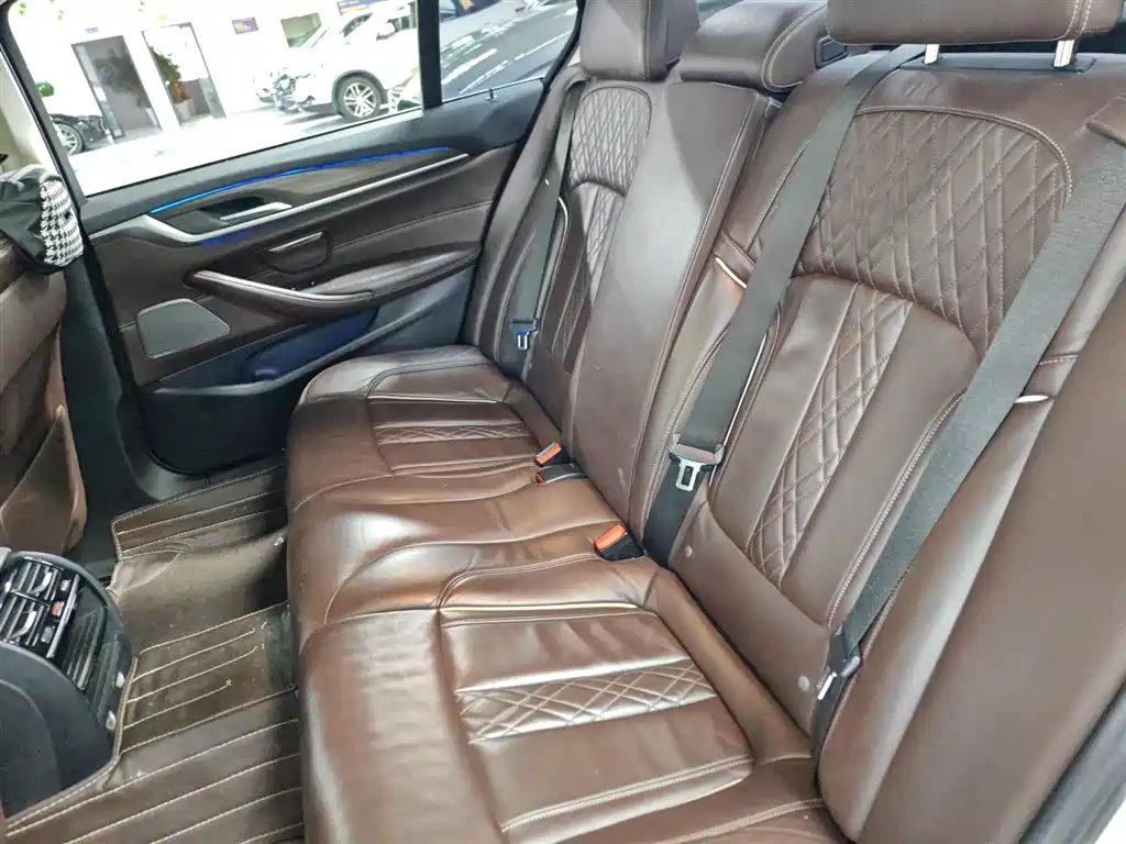 BMW 5 Series 2018 530Li xDrive Luxury Package фото 24