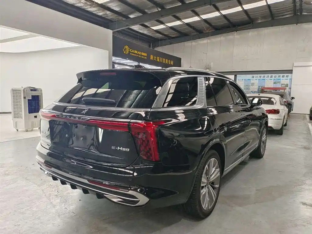 Hongqi E-HS9 2023 2022 690km Qi Xiang Edition (6-seater)
