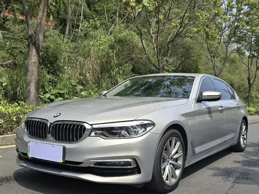 BMW 5 Series New Energy 2019 530Le Luxury Package фото 2