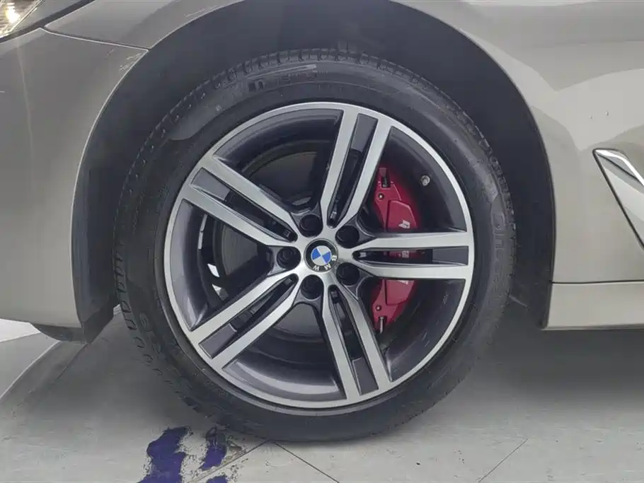 BMW 5 Series 2023 530Li Leading Luxury Package фото 6