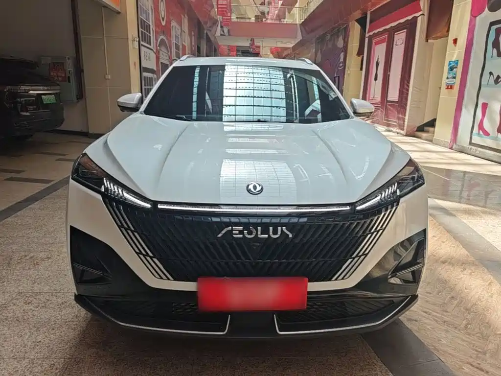 2025 Dongfeng Aeolus Haohan