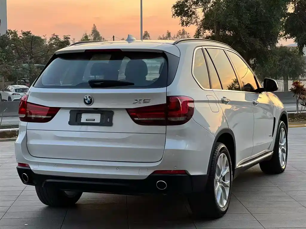 BMW X5 (Import) 2014 xDrive35i Elegance фото 7