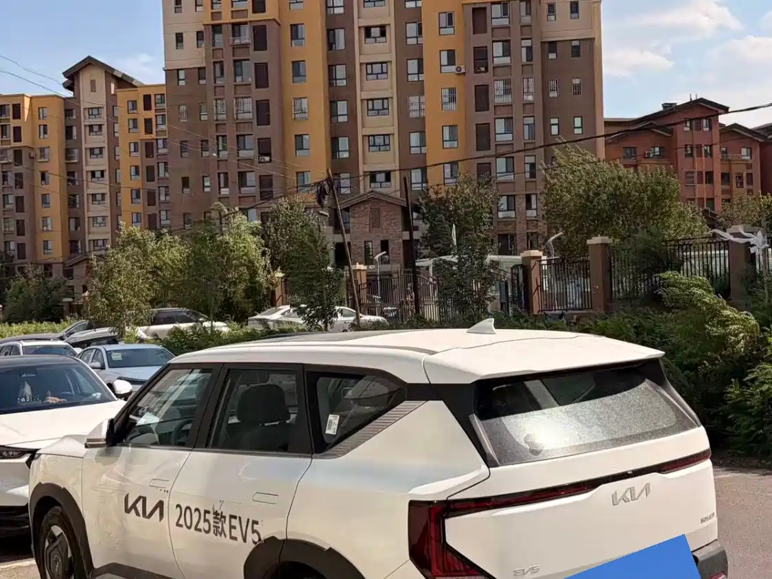 Проверка перед покупкой