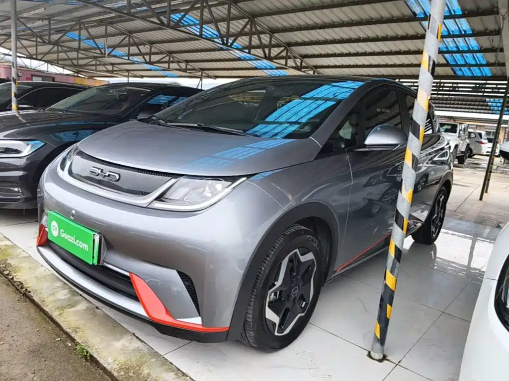 BYD Dolphin 2021