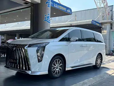 Trumpchi E9