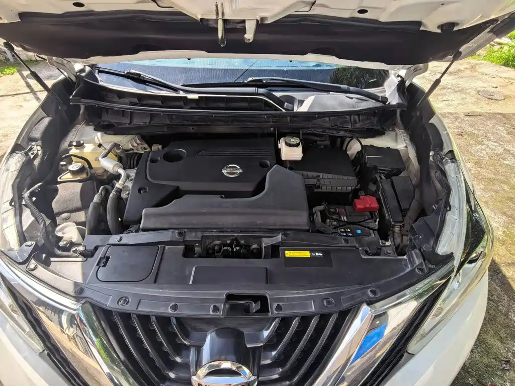  Nissan Murano 2019 2.5L XL 2WD Smart Connect Luxury (China V) 3