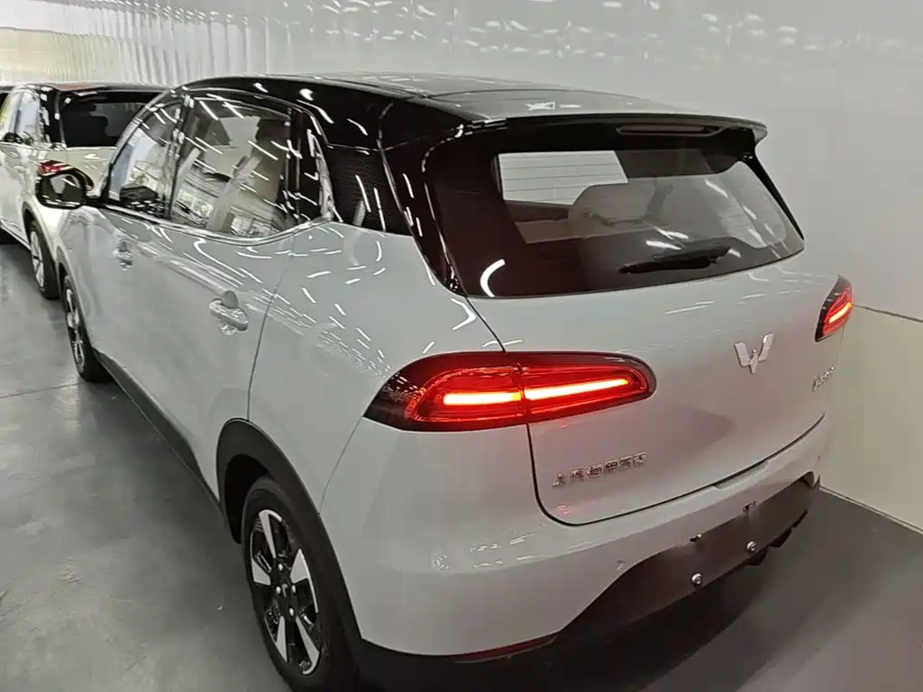 Wuling Motors Wuling Binguo PLUS 2026 2024 510km Range 5-seater