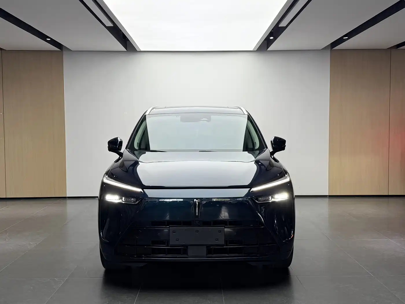 WEY Lanshan 2023 2023 AWD Ultra Long Range Edition