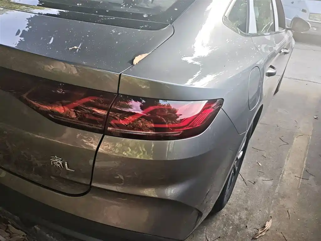 BYD Qin L 2024 DM-i 80KM Leading Edition фото 8