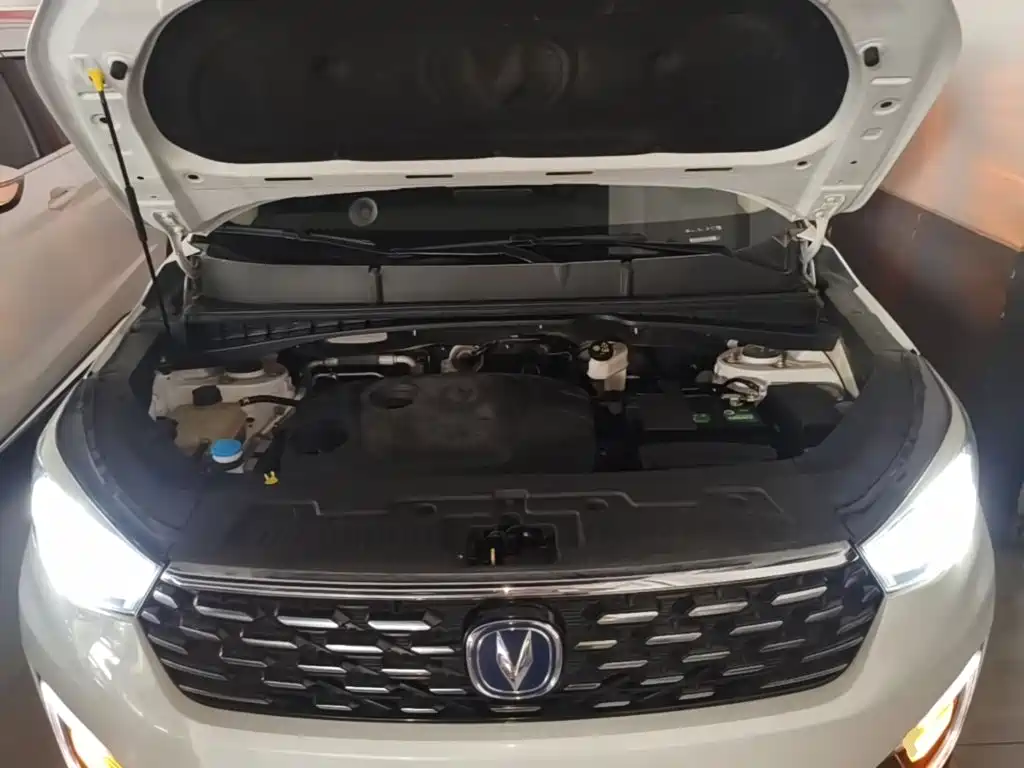 Changan CS55 2019 2019 1.5T Automatic Xuandong Type China VI