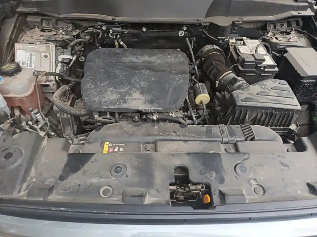 Haval Dargo 2025 2024 1.5T DCT Border Collie Edition