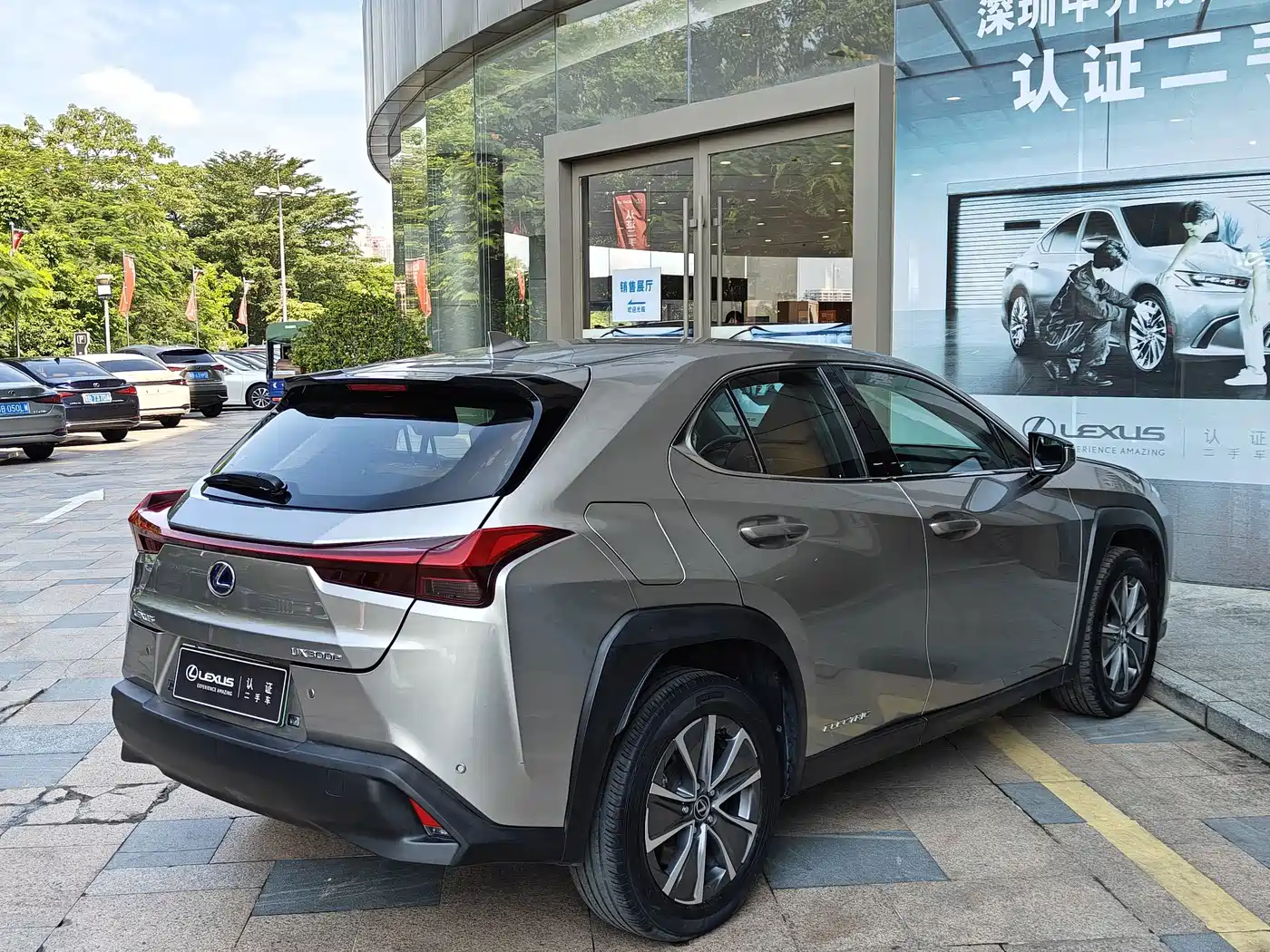 Lexus UX Electric 2022 2020 300e Pure Yue Edition