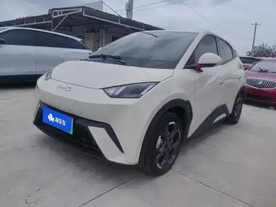 BYD Seagull