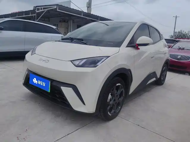 BYD Seagull Слава, 405km, Полёт