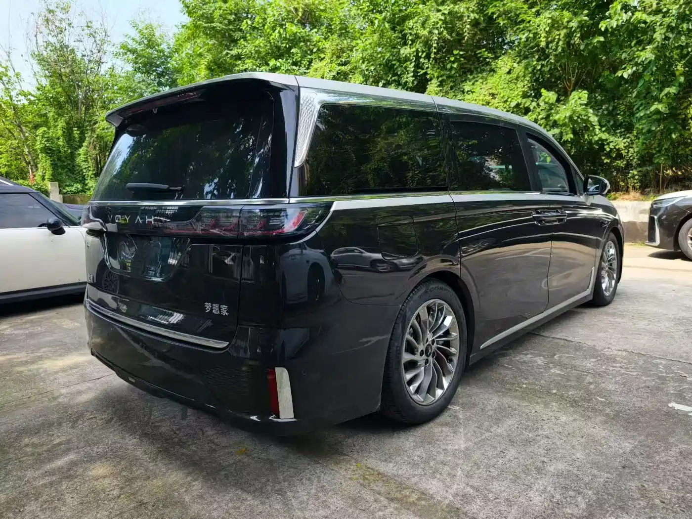 Фото 4 - Voyah Auto Voyah Dreamer