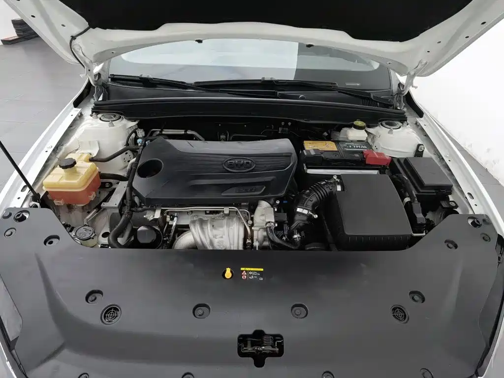 BYD Qin Pro 2021 2020 Surpass Edition 1.5TI Manual Luxury