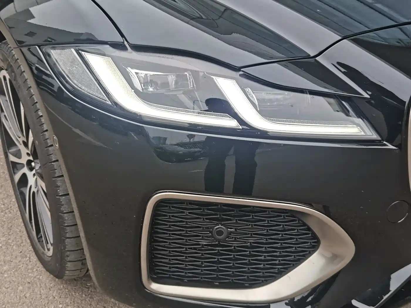 JAGUAR XFL