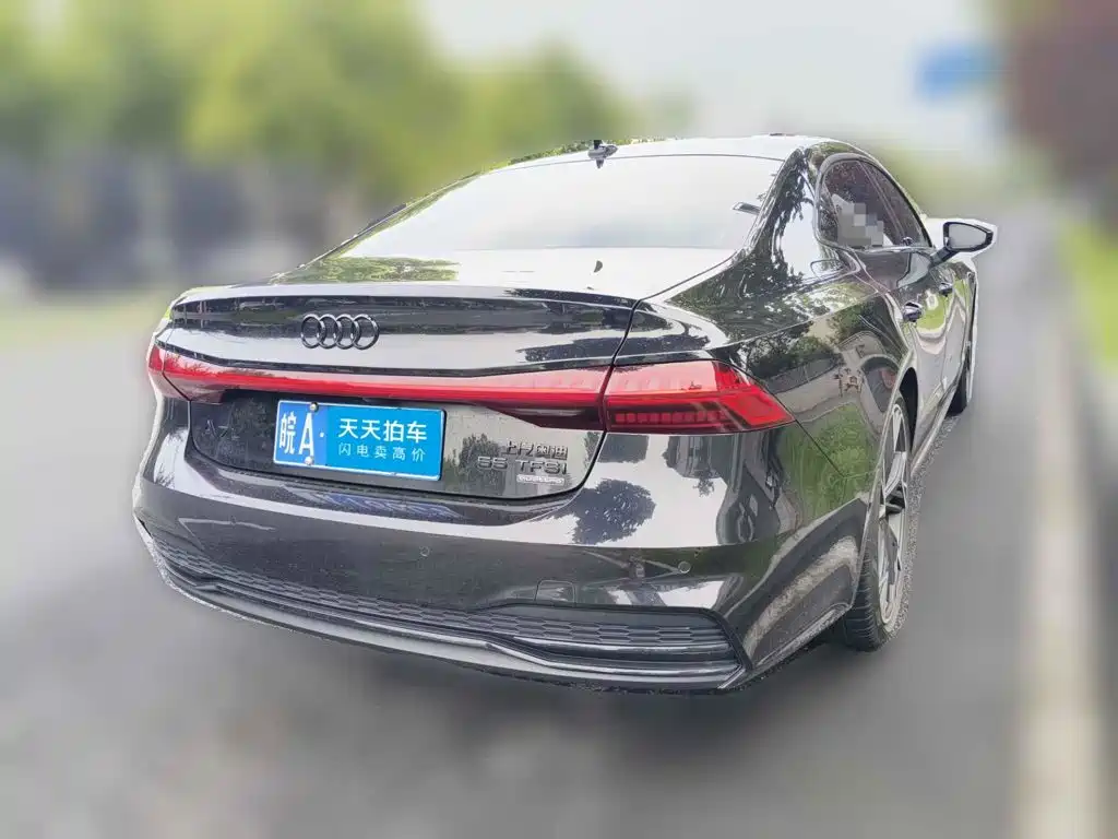 Audi A7L 2023 2023 55 TFSI quattro S-line Black Warrior Edition