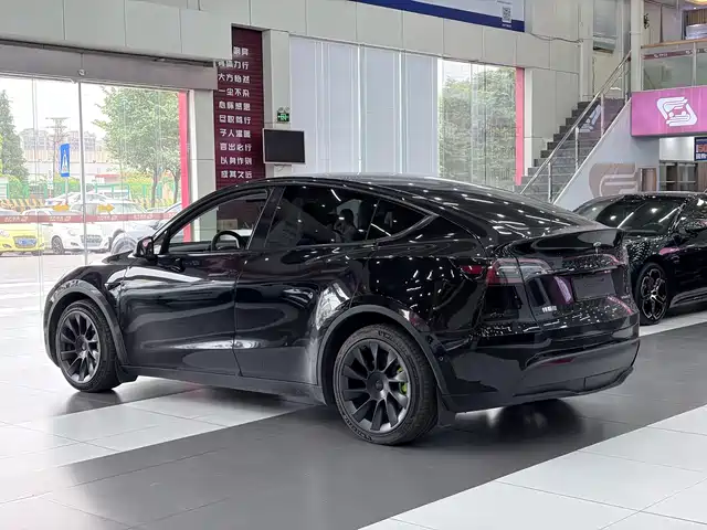 Tesla Model Y 2021 Model Long Range AWD — фото 3