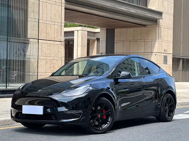 Tesla Model Y Стандартный запас хода, задний привод
