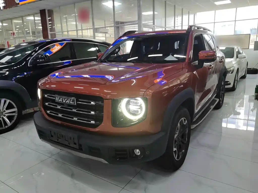 Haval Dargo 2021 2021 2.0T DCT 4WD Chinese Rural Dog Edition